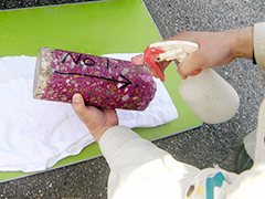 フェノールフタレイン溶液の噴霧