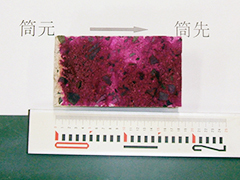 コア割裂面での中性化試験
